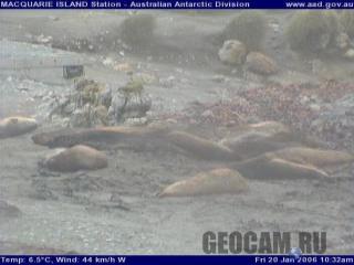 Macquarie Island station webcam