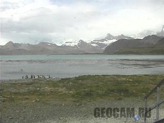 King Edward Point Research Station Webcam