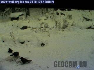 Pond Cam