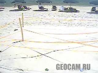 Live Turtle Hatch Webcam