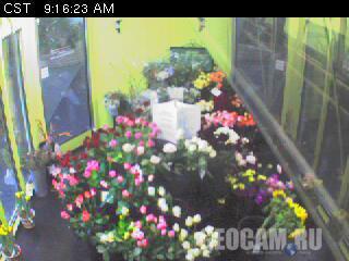 Flower Cam