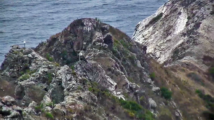 Catalina West End Overlook Webcam