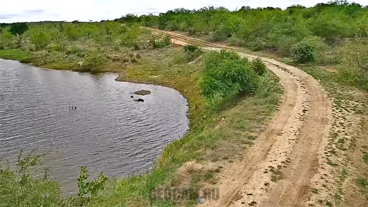 Поворотная веб-камера на плотине Дина, Маруленг, ЮАР