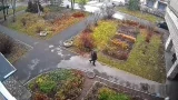 Веб-камера на Детскосельском бульваре, г. Пушкин