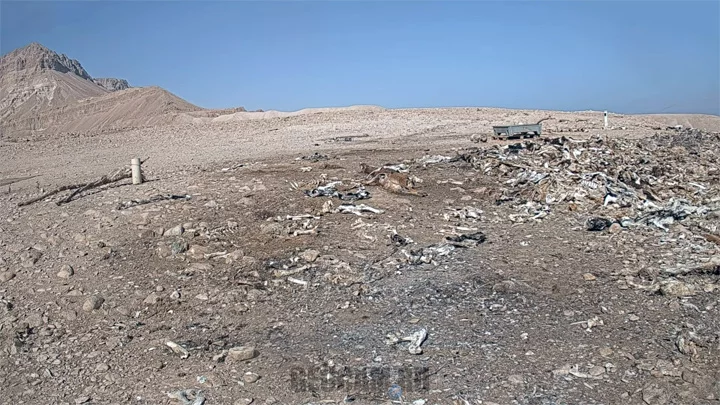 Webcam at the vulture feeding station in the Judean Desert