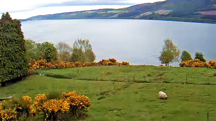 Loch Ness Live Cam