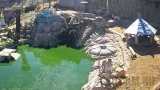 Веб-камера экопарка «Лукоморье», Севастополь