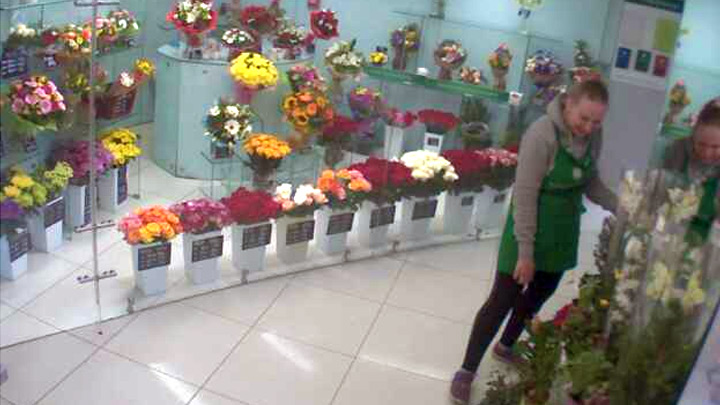 Веб-камера в павильоне Megaflowers в Омске: Павильон Megaflowers в Омске