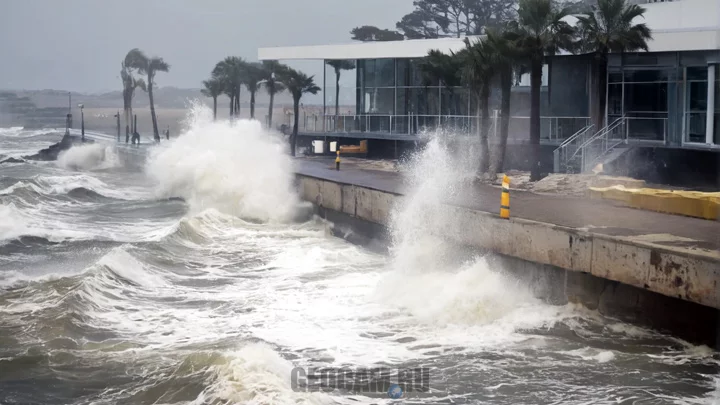 Hurricane Milton Webcams, Live Streams from Florida