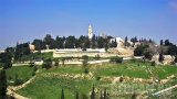Mount Zion Webcam, Jerusalem (Jerusalem, Israel)