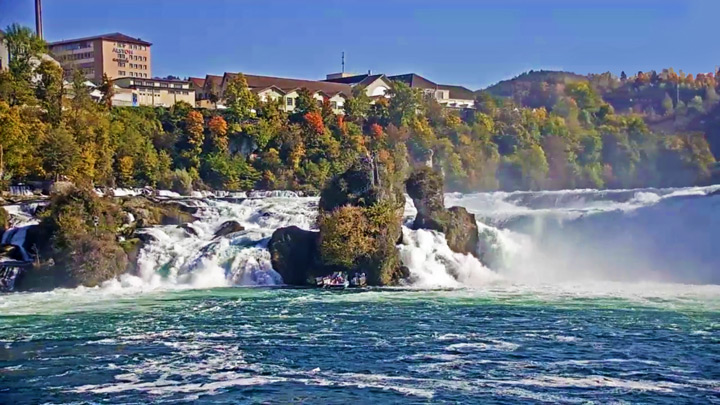 Rhine Falls Webcam